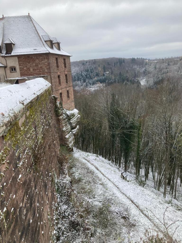 Villa Le Cordonnier Du Staedel à La Petite-Pierre Extérieur photo