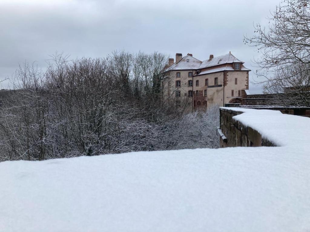 Villa Le Cordonnier Du Staedel à La Petite-Pierre Extérieur photo